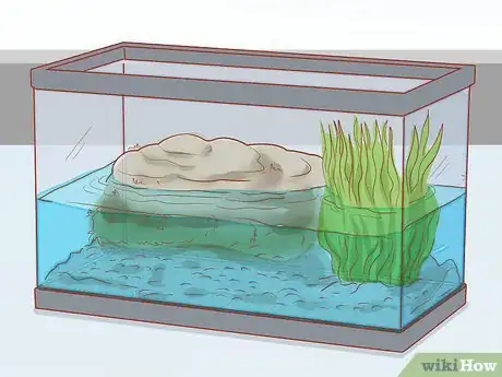 Image titled Take Care of Baby Water Turtles Step 5
