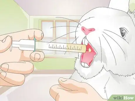 Image titled Give a Rabbit Medication Step 10