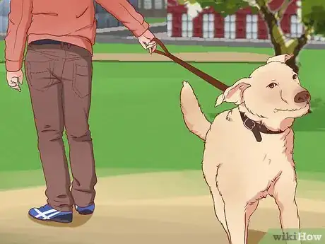 Image titled Stop a Dog from Pulling on Its Leash Step 5