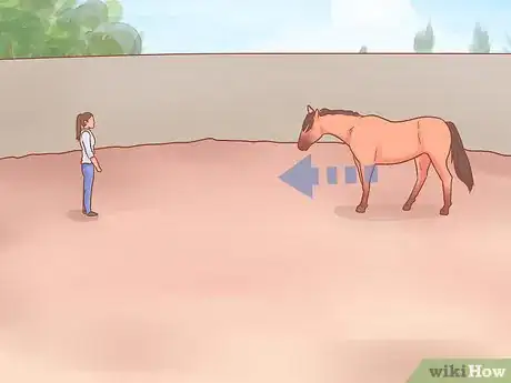 Image titled Join Up With a Horse Step 14