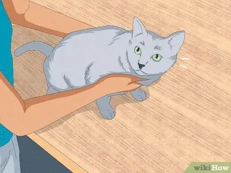 Image titled Eat Without a Cat Begging Step 10