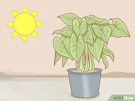 Image titled Get Rid of Powdery Mildew on Plants Step 14