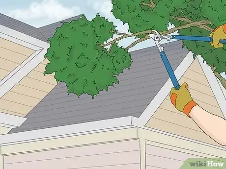 Image titled Get Rid of Squirrels in the Attic Step 12