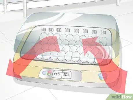 Image titled Use an Incubator to Hatch Eggs Step 17