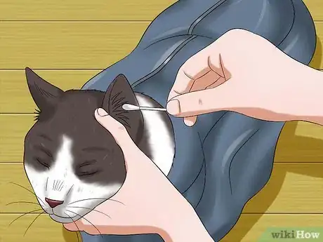 Image titled Use a Cat Comfort Bag Step 8