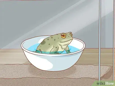 Image titled Bathe Your Frog Step 3
