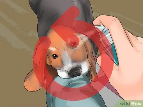 Image titled Get a Dog to Stop Pulling Clothes off the Line Step 9