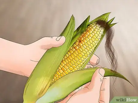 Image titled Harvest Corn Step 6