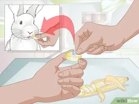 Image titled Give a Rabbit Medication Step 1
