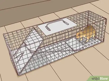 Image titled Get Rid of Squirrels Step 11