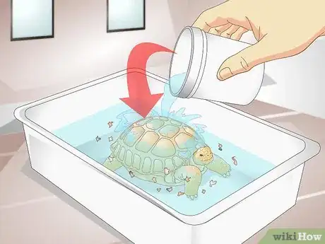 Image titled Bathe a Tortoise Step 9