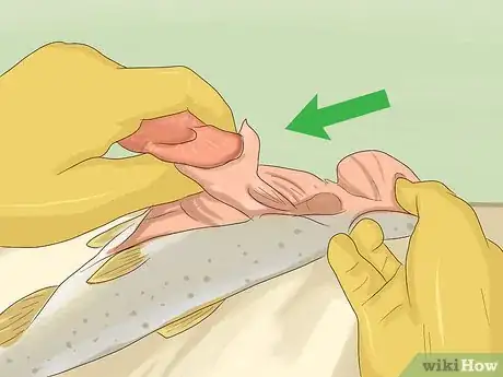 Image titled Clean Trout for Cooking Step 6