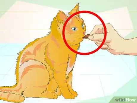 Image titled Properly Deal With an Aggressive Cat Step 13