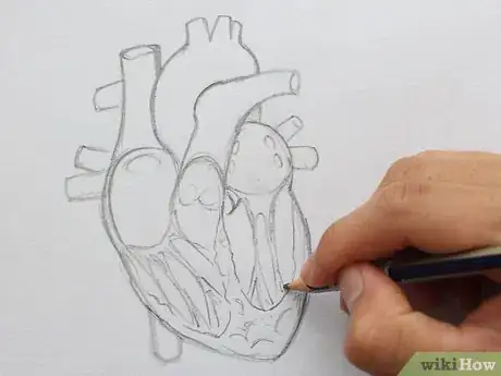 Image titled Draw the Internal Structure of the Heart Step 11