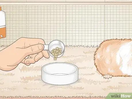 Image titled Avoid Overfeeding Your Guinea Pig Step 6