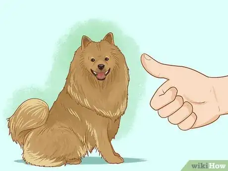 Image titled Stop a Dog from Jumping Up on Strangers Step 9