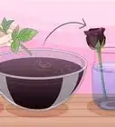 Grow Black Roses