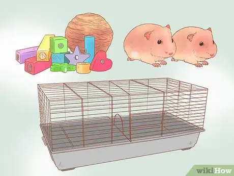 Image titled Care for Dwarf Hamsters Step 2