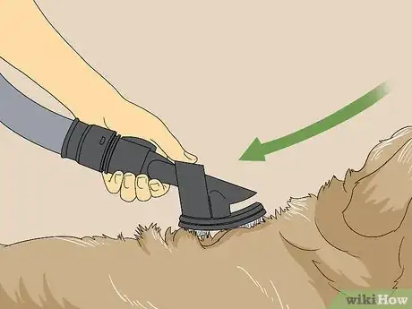 Image titled Vacuum Your Dog Step 7