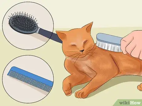 Image titled Make Your Cat's Fur Soft and Shiny Step 4