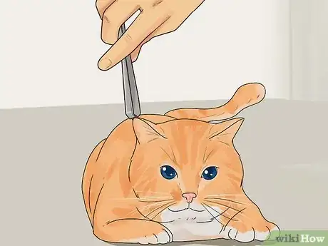 Image titled Keep Cats from Shedding Step 9