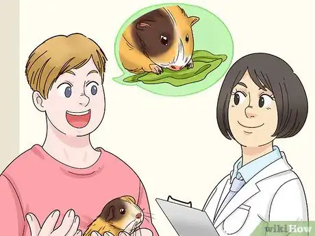 Image titled Diagnose and Treat Tumors in Guinea Pigs Step 10