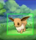 Catch Eevee in Pokémon Omega Ruby and Alpha Sapphire