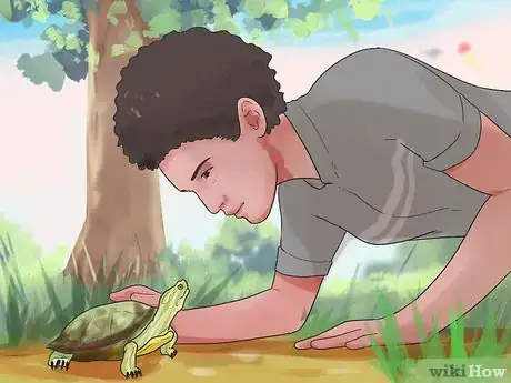 Image titled Keep Your Turtle Happy Step 8