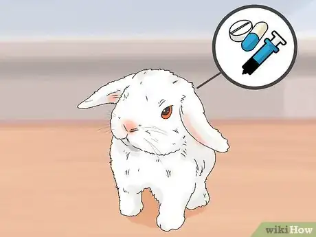 Image titled Tell if Your Rabbit Has Weepy Eye Step 9