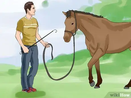 Image titled Train a Horse to Respect You Step 4
