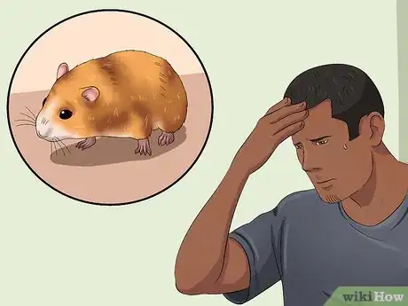 Image titled Catch a Runaway Hamster Step 1
