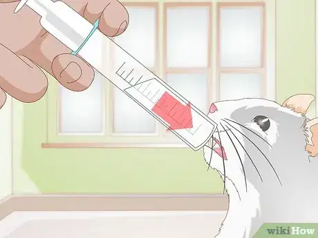 Image titled Treat Cheek Abscesses in Hamsters Step 4