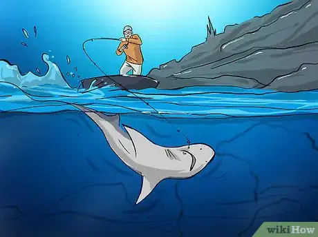 Image titled Fish for Shark Step 11