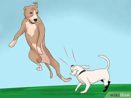 Image titled Determine if Your Old Dog Can Handle a New Puppy Step 9