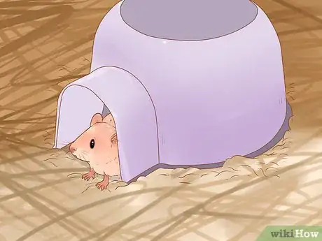 Image titled Avoid Frightening Your Pet Mouse Step 10