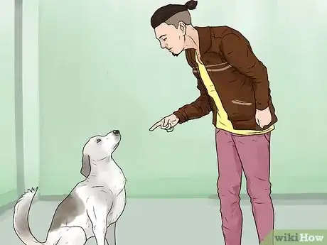 Image titled Stop Your Dog from Barking at Strangers Step 11