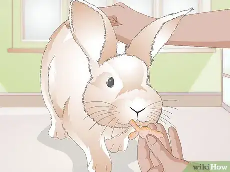Image titled Give a Rabbit Medication Step 16
