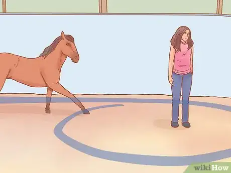 Image titled Join Up With a Horse Step 13