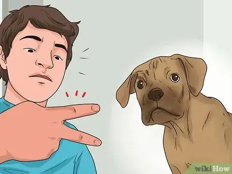 Image titled Stop a Boxer Dog from Biting Step 4
