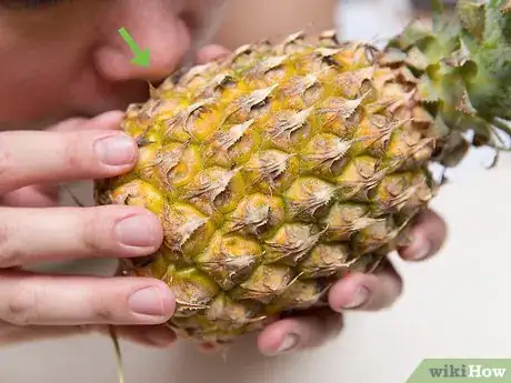 Image titled Buy and Store Fresh Pineapple Step 5