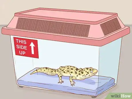 Image titled Safely and Properly Pack, Transport and Move Your Reptile Step 6