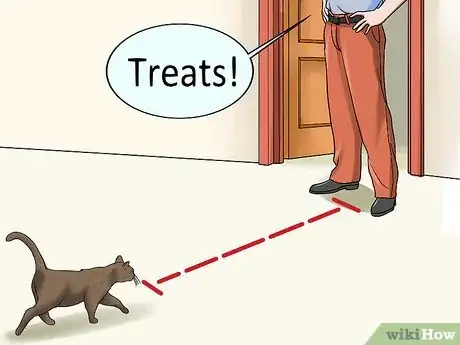 Image titled Train Your Cat to Come to You Step 5