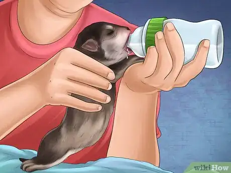 Image titled Help Your Dog After Giving Birth Step 20