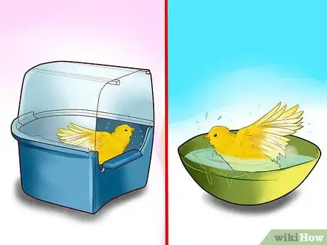 Image titled Keep a Canary Entertained Step 5