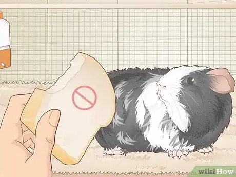 Image titled Avoid Overfeeding Your Guinea Pig Step 5