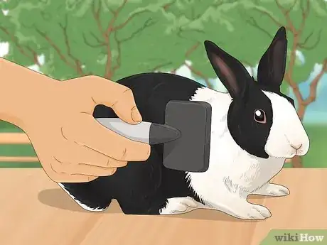 Image titled Bathe Your Pet Rabbit Step 1