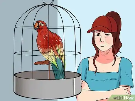 Image titled Train Parrots to Make Less Noise Step 11
