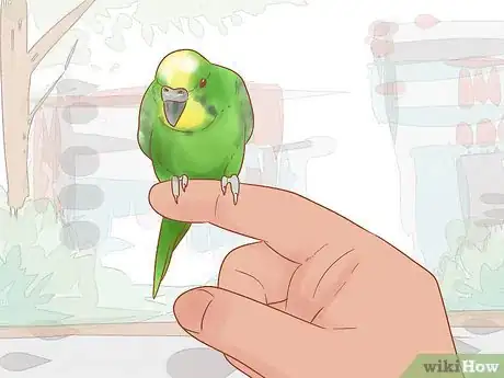 Image titled Take Care of a Parakeet Step 19