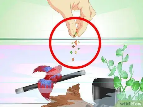 Image titled Have a Happy Betta Fish Step 11