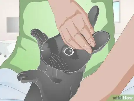 Image titled Give a Rabbit Medication Step 24